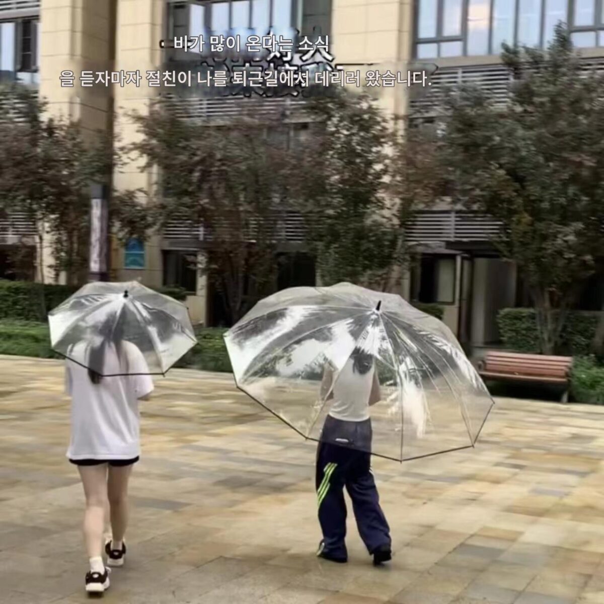 특대형 우산, 특대형, 확대, 두껍게 하고 강화, 폭우, 맑음 및 비오는 날에도 사용 가능, 창의적이고 재미있는 다인용 대형 우산 - 이미지 5