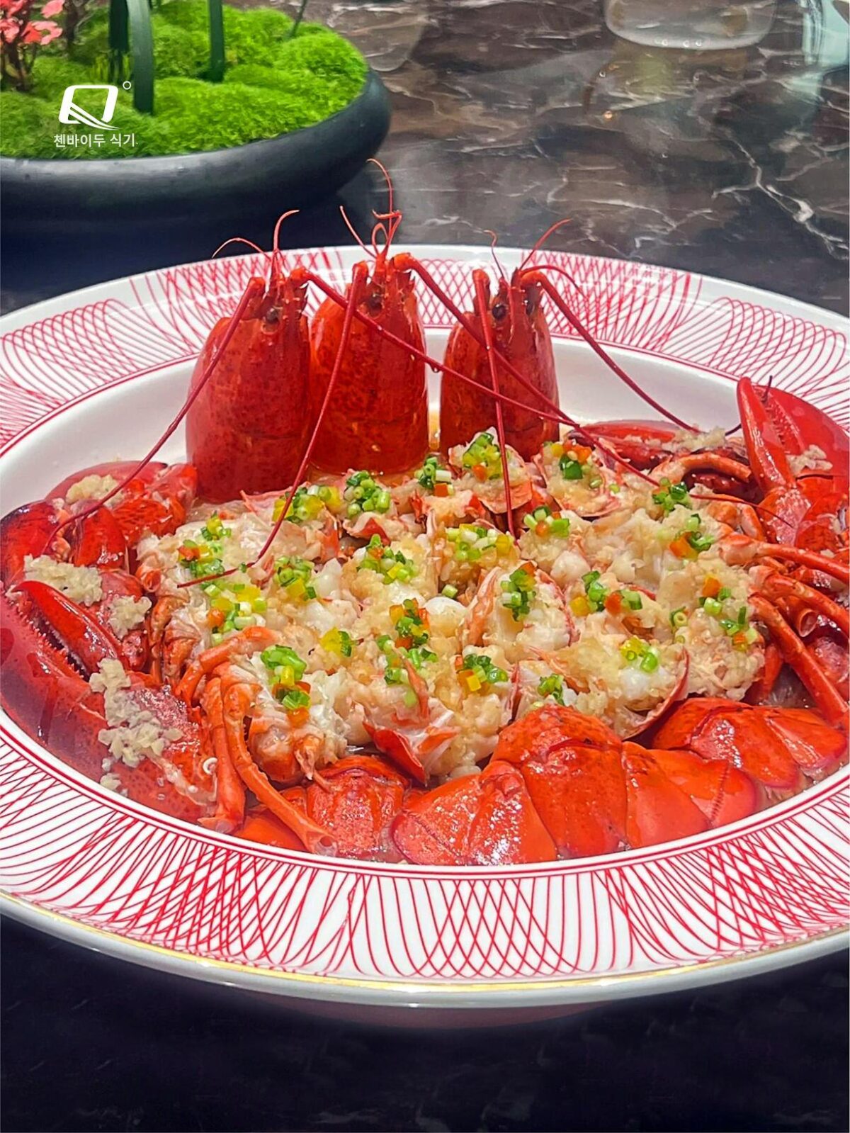 해산물 보물 킹크랩 스페셜 랍스터 그루퍼 찜 생선머리 플레이트 개인용 접시 접시 가열 식기 상업용 - 이미지 2